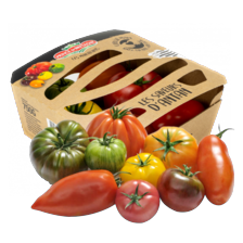 Saveur d'antan tomaten